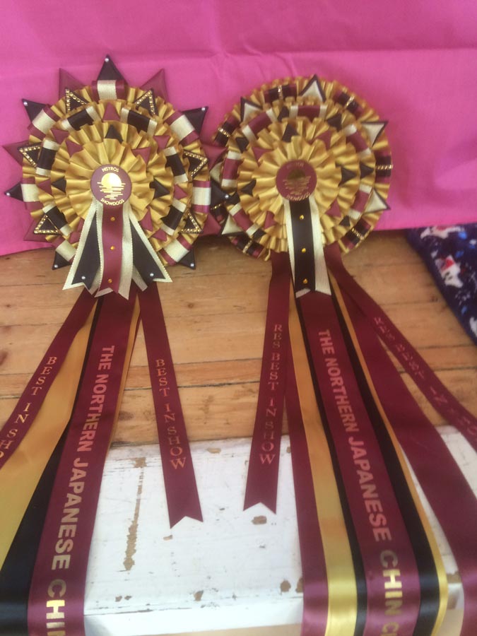 20170423-BIS_and_RBIS-rosettes.jpg