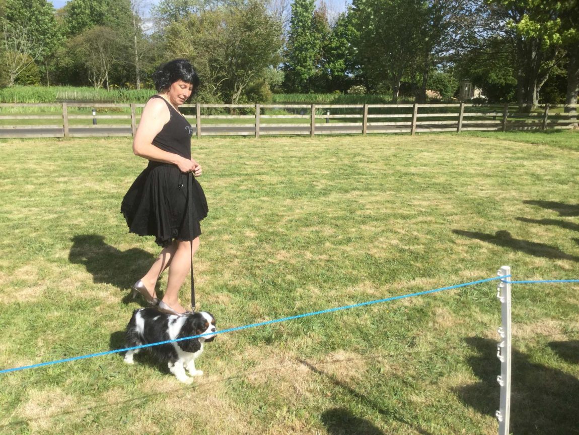 Class-winner-of-the-Best-6-legs.jpg