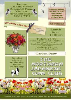 northern japanese chin club