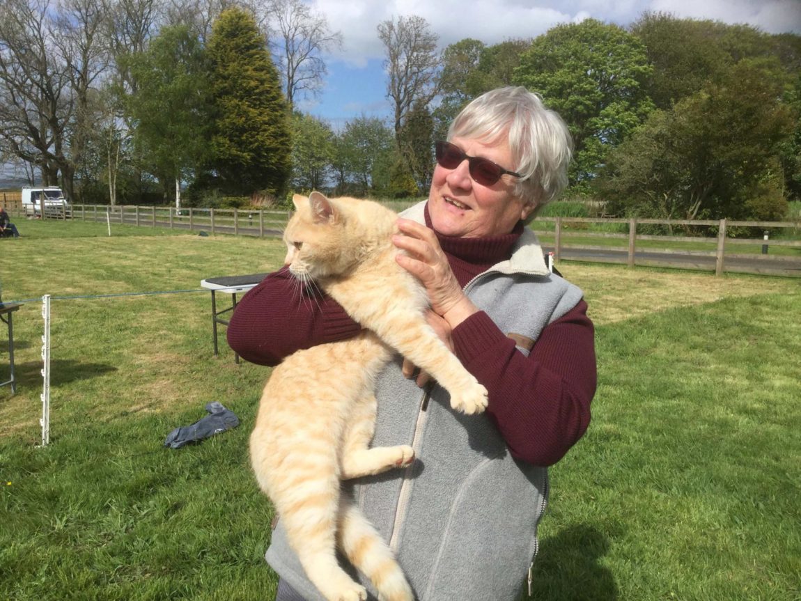 Howard-the-farm-cat-came-to-visit.jpg