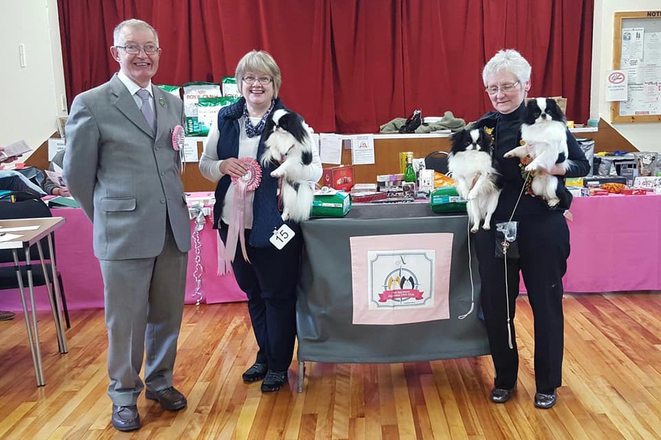 BestInShow-BestPuppyInShow.jpg