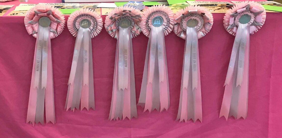 2018rosettes.jpg