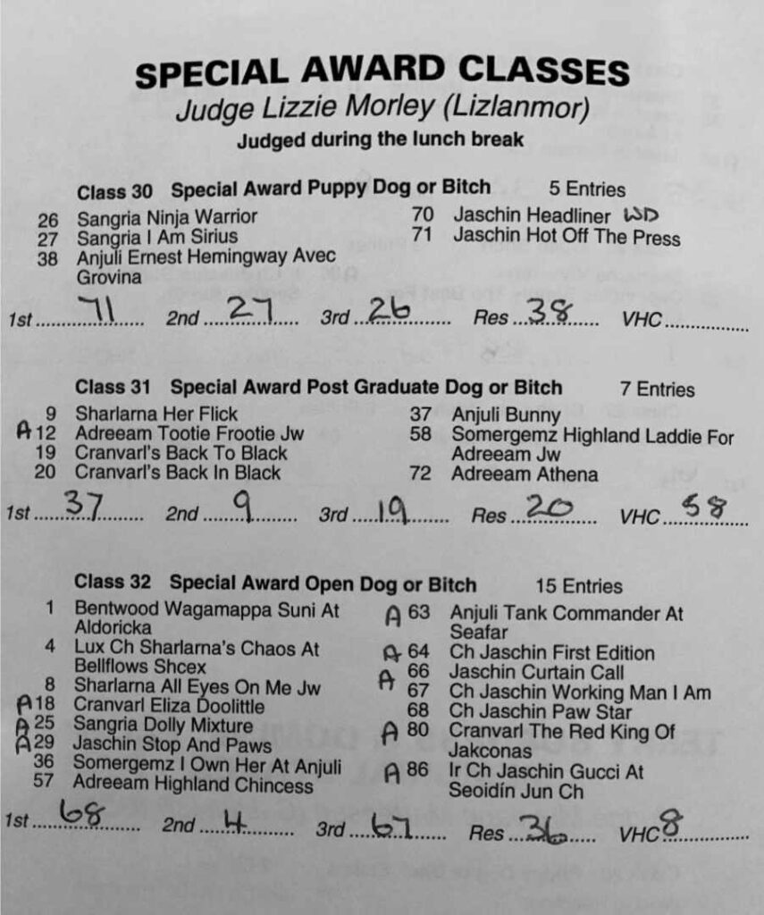 Special Award Classes Special Award Classes