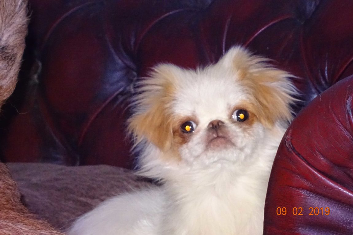 JeanPotts2A.jpg