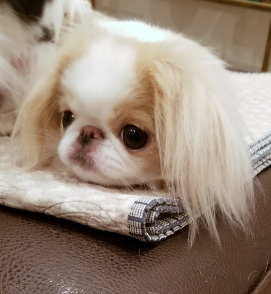 ScottToney06.26.18Mamie2.jpg