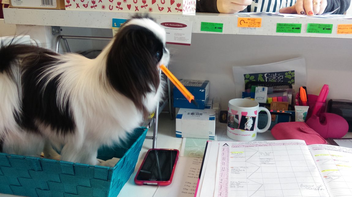 TraceyBurnsBodyPing-on-reception-duties.jpg