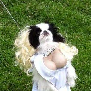 TraceyBurnsFunPing-aka-Marilyn-Munroe.jpg