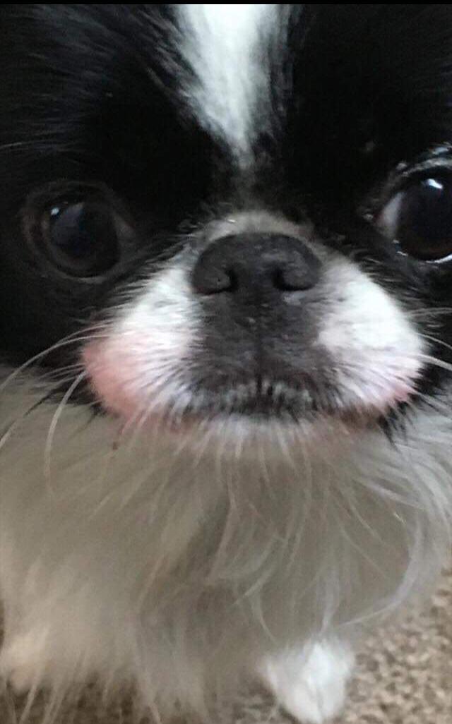 Sharon6.jpg