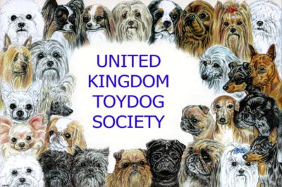 United Kingdom Toy Dog Society