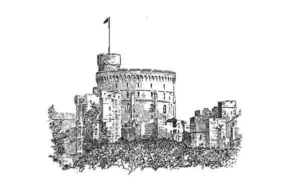 Windsor graphic